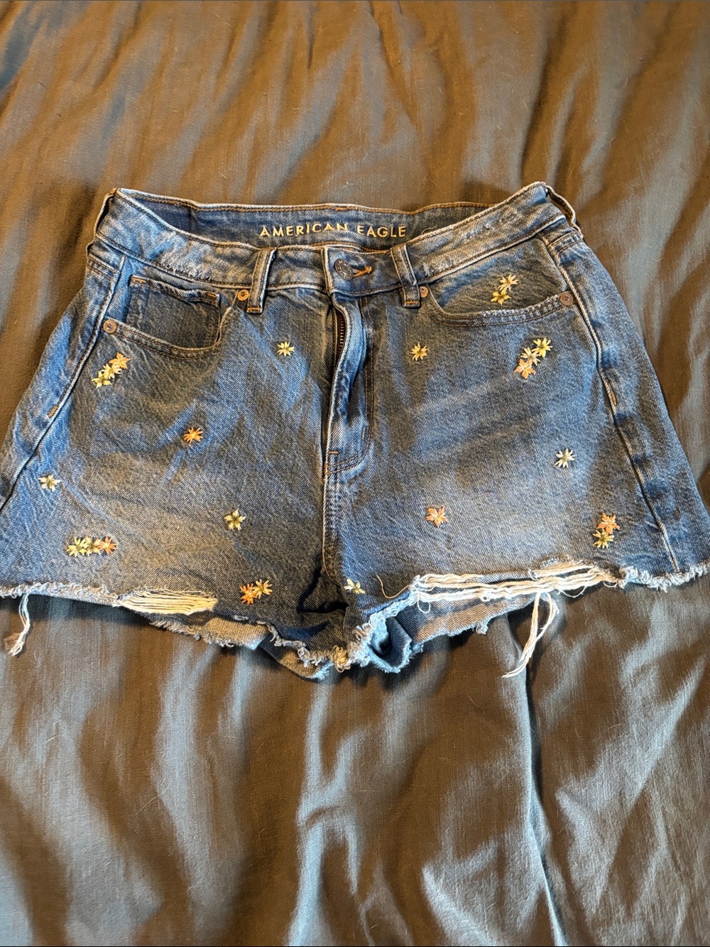 American Eagle Outfitters Blue Denim Daisy Embroidered Cutoff Shorts